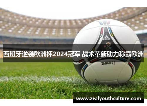 西班牙逆袭欧洲杯2024冠军 战术革新助力称霸欧洲